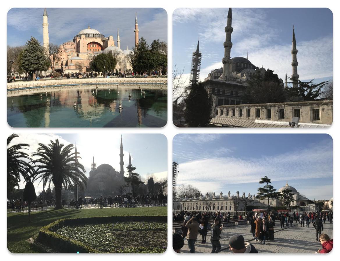 My Fabulous Luxury Home. Historical Part Of The Istanbul Bagian luar foto