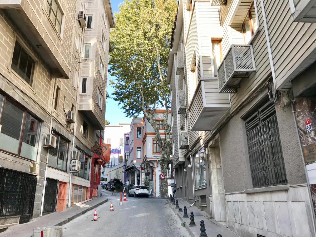 My Fabulous Luxury Home. Historical Part Of The Istanbul Bagian luar foto